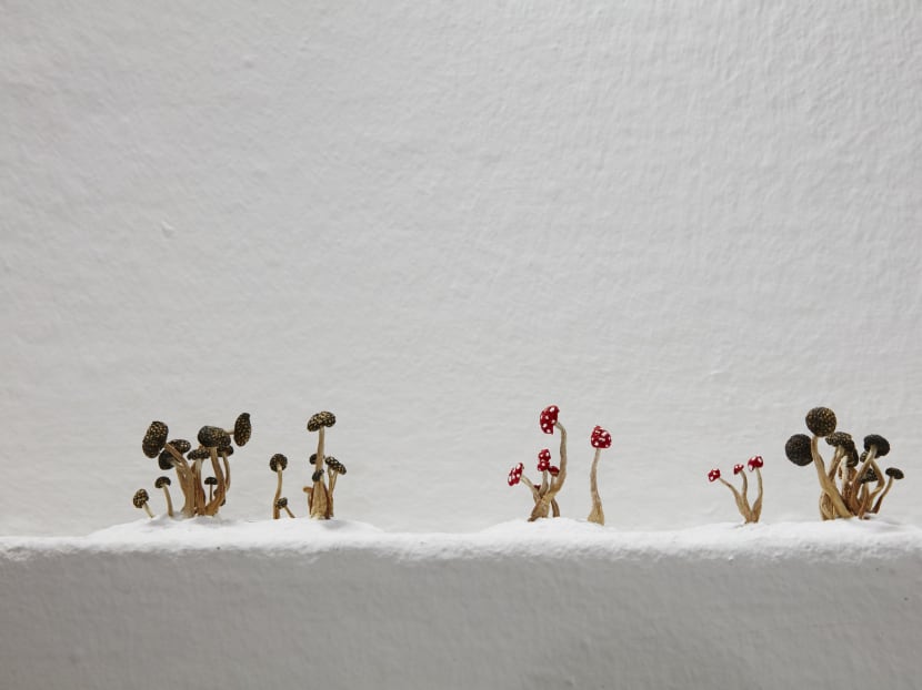 Singapore artists on a roll