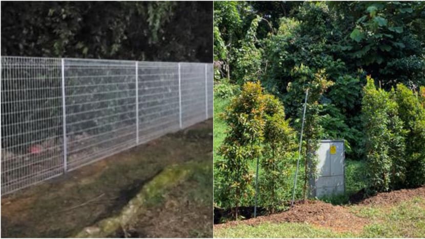 Fencing along roads to be extended to 9 more areas to prevent vehicle-wildlife collisions Fencing along roads to be extended to 9 more areas to prevent vehicle-wildlife collisions