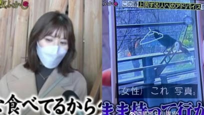 Japanese TV Show Apologises For Editing Chinese Woman’s Interview To Suggest “China People Love Eating Crows”