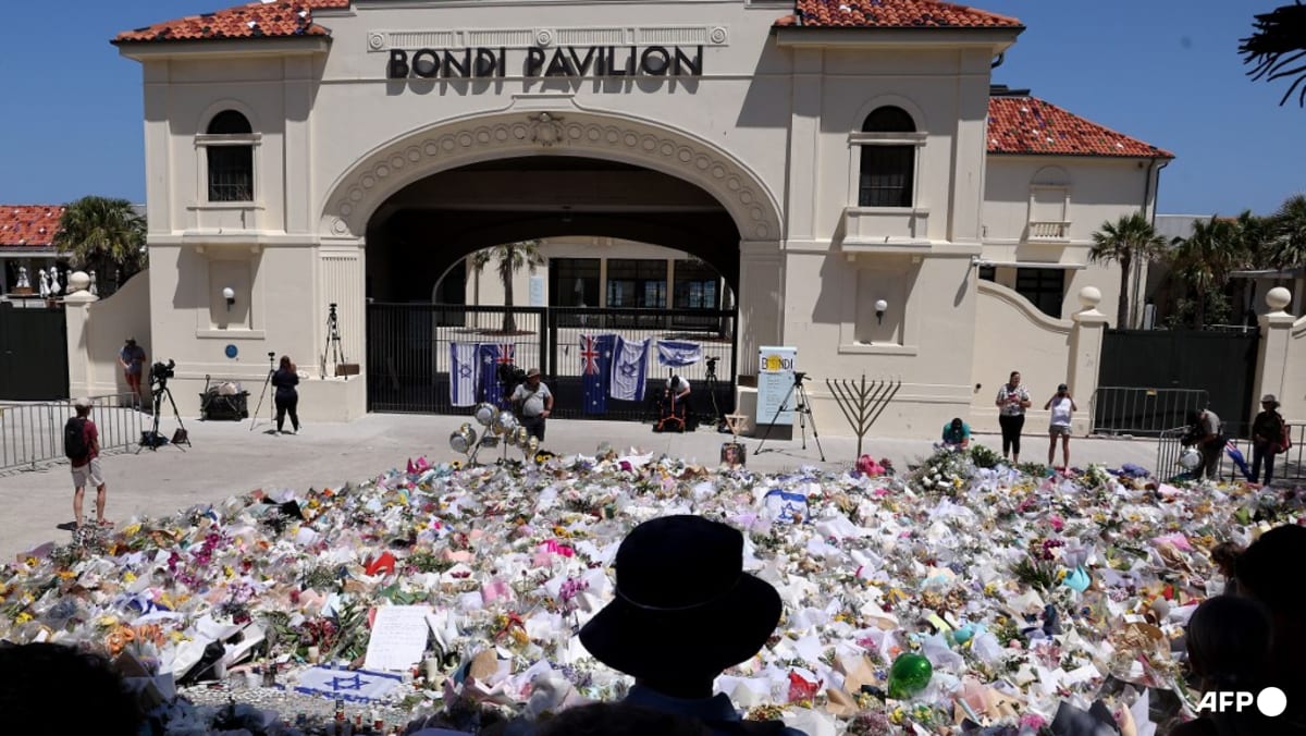 Philippines says no evidence of ‘terrorist training’ after Bondi gunmen’s visit