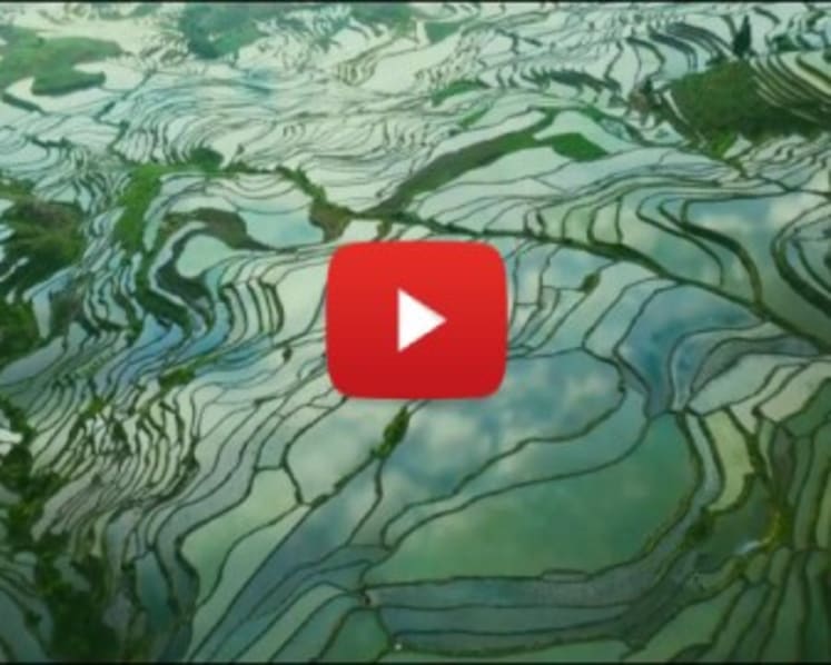 Hani Terraced Fields: A Paradise Harboring Ingenious Technology