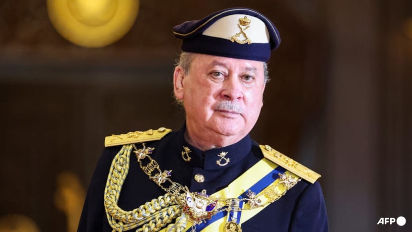 Malaysian king Sultan Ibrahim to make state visit to China, eyes infrastructure support