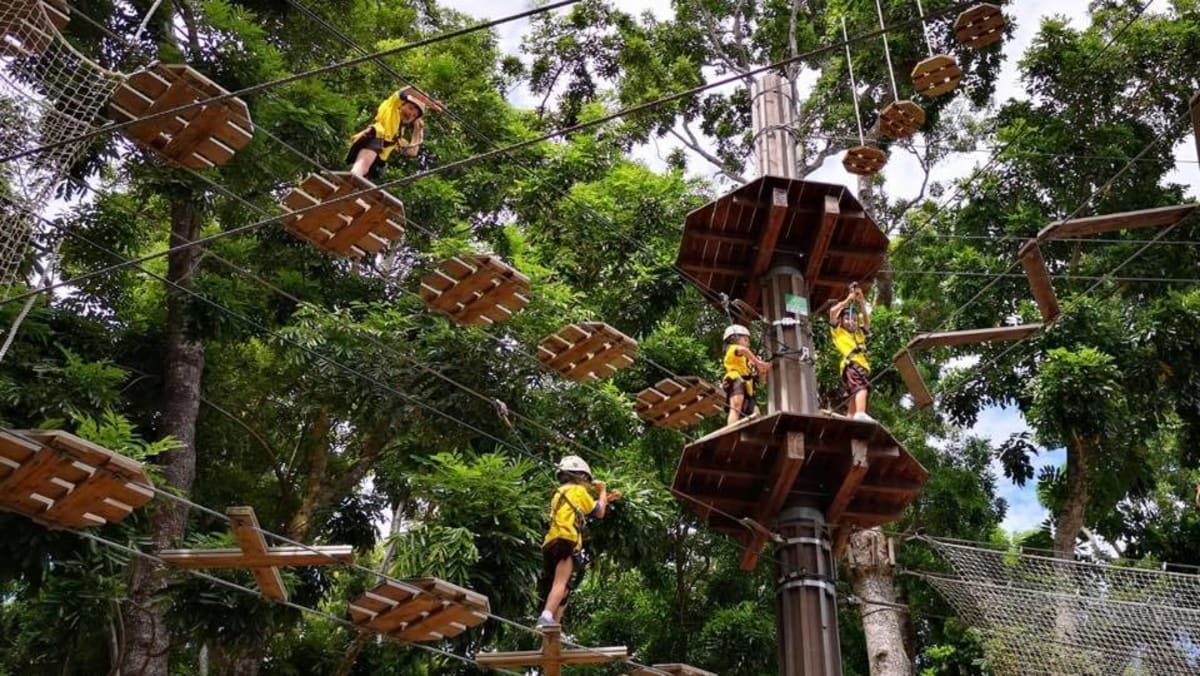Singapore student's rope course death raises questions over volunteer ...
