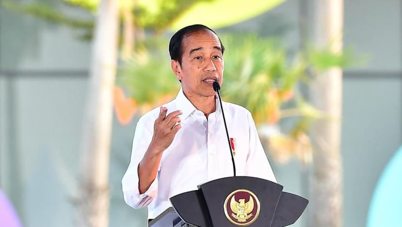 Indonesia, Vatican kongsi komitmen galak keamanan, kata Jokowi Indonesia, Vatican kongsi komitmen galak keamanan, kata Jokowi
