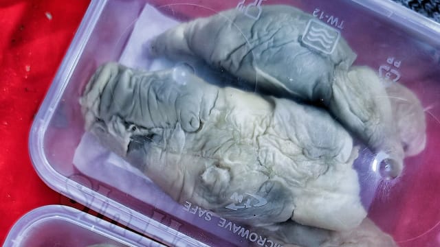 马国店家“淤青”榴梿被退货 老饕笑不识货大赞是极品