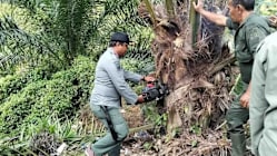 Related article image