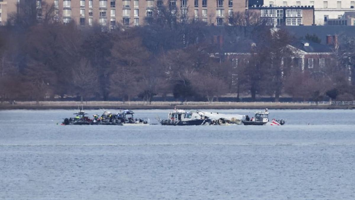 Control tower staffing ‘not normal’ at time of Washington crash: Report