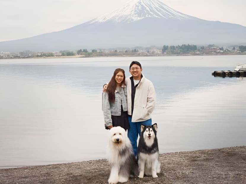 How Singaporean 'pawrents' travel with their pets – no business class or private jet needed