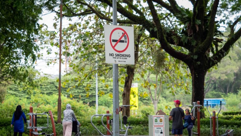 S$200 fine for those caught smoking at public parks, beaches from Oct 1