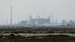 Related article image