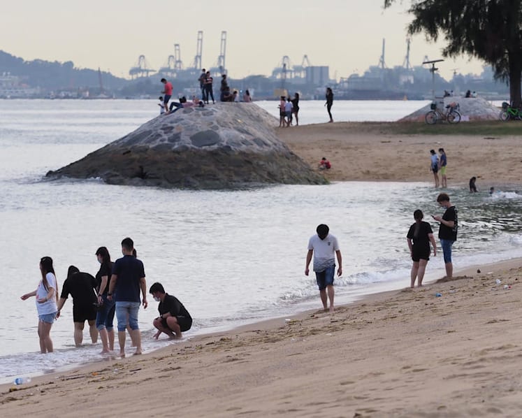 PUB begins study to protect City-East Coast coastline; studies on Jurong Island, North-West coast to follow