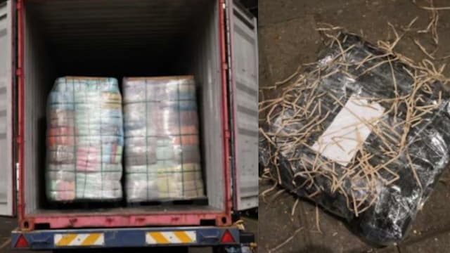 我国同英国联手侦破跨国贩毒网络 起获逾900公斤大麻