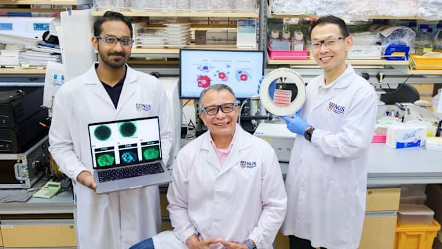 国大研究：脉冲电磁场可“重新编程”免疫细胞 有望用于乳癌治疗