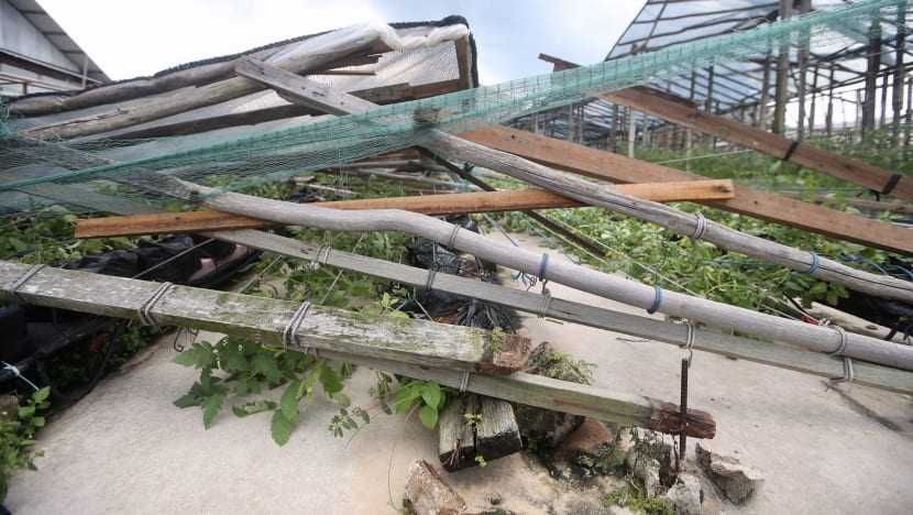 Thunderstorm, gusty winds lash Singapore for a second day