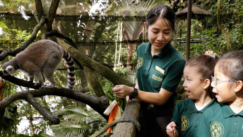 Personalised tours 'more costly' to conduct, says Mandai after complaints about high prices Personalised tours 'more costly' to conduct, says Mandai after complaints about high prices