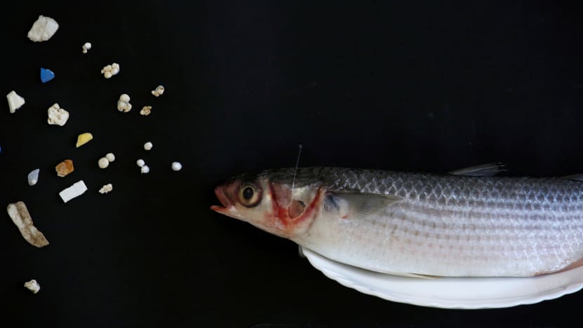An average person could ingest 100,000 plastic particles a year  — equal to one credit card a week: Study
