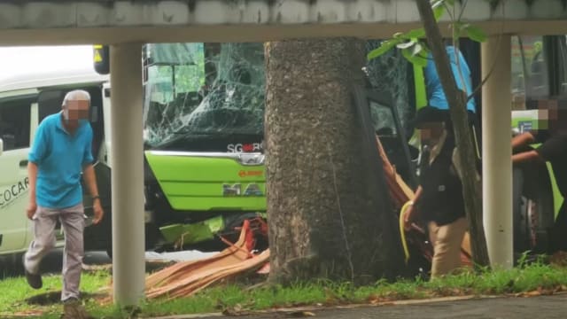 SMRT巴士撞大树 巴士车长去世