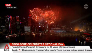 NDP 2025: Spectacular fireworks display, other highlights 