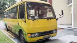 Related article image