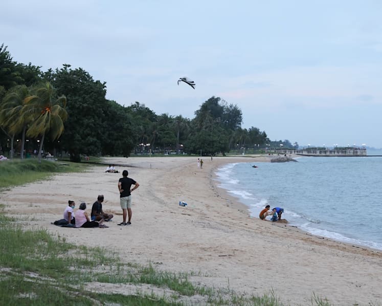 NEA to provide weekly water quality data for 7 popular beaches