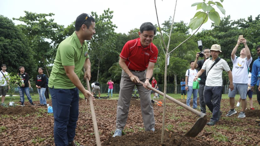 Five new species of fauna recorded in Pulau Ubin