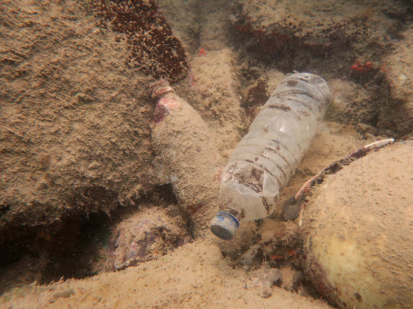 Managing packaging waste: Companies must buck up