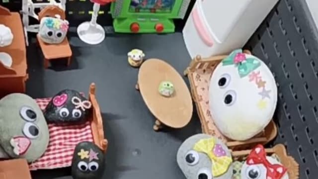 中国年轻人把石头当“宠物” 医生：低成本的精神寄托