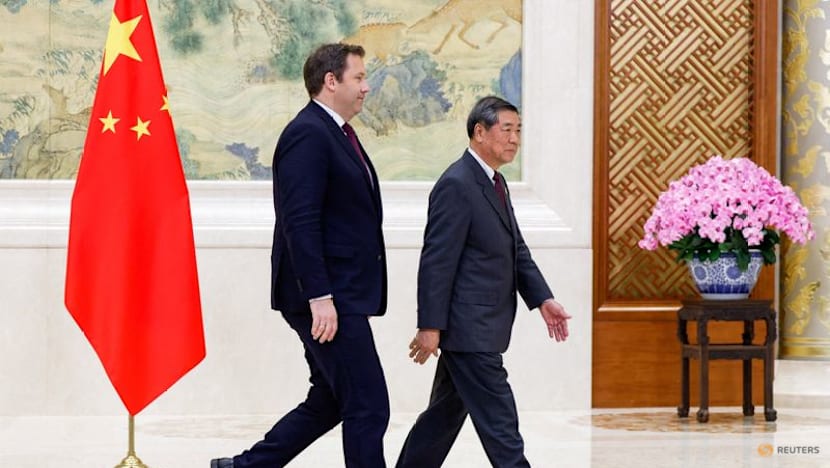 China pitches closer ties to Germany in strategic industries to ease rare earth strains