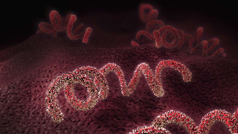 Seks bebas merajalela di Indonesia, remaja di bawah usia 15 tahun terkena gonore-sifilis