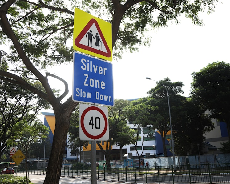 Penalties to be raised for reckless motorists at Silver, School Zones: Desmond Tan