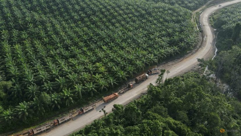 Nestle, P&G investigate palm oil sourcing after green group's Indonesia deforestation report Nestle, P&G investigate palm oil sourcing after green group's Indonesia deforestation report