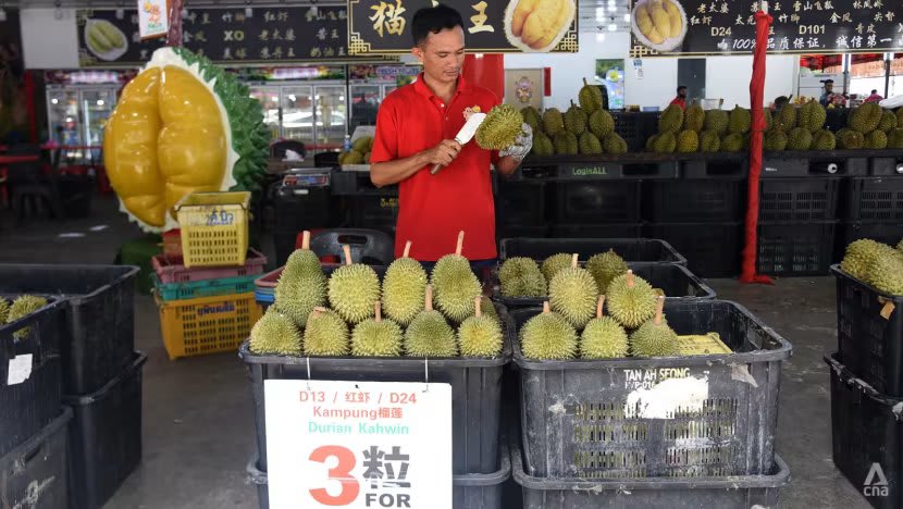 Bukan lagi Musang King: Kala perubahan selera China dan cuaca ekstrem repotkan petani durian Malaysia Bukan lagi Musang King: Kala perubahan selera China dan cuaca ekstrem repotkan petani durian Malaysia