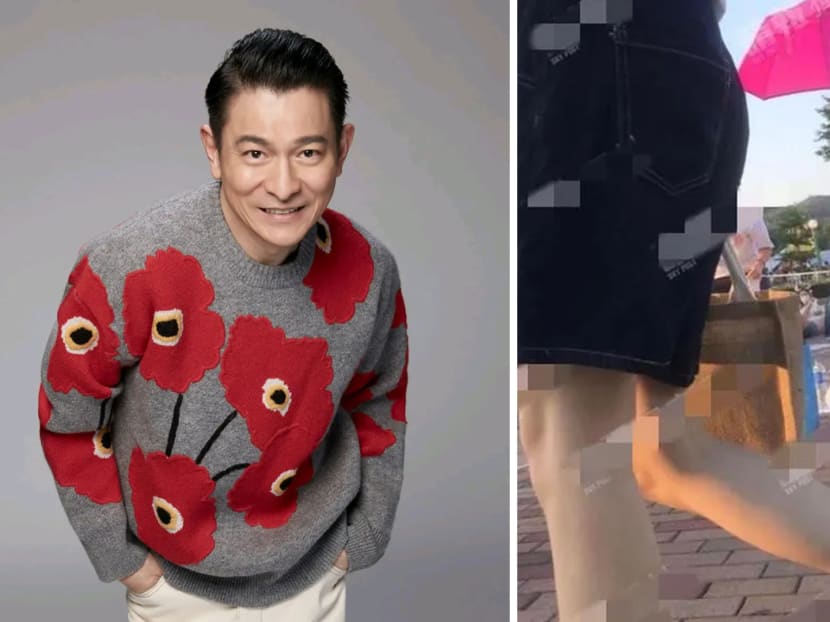 Andy Lau&rsquo;s Wife Used Sheets Of Paper To Chope Spot To Catch Fireworks With Daughter At HK Disneyland 