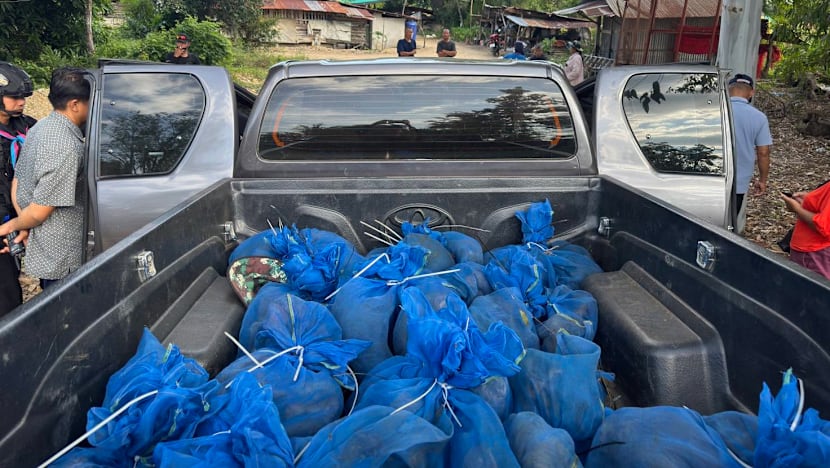 Men moving 81 macaques, meth arrested in Thailand