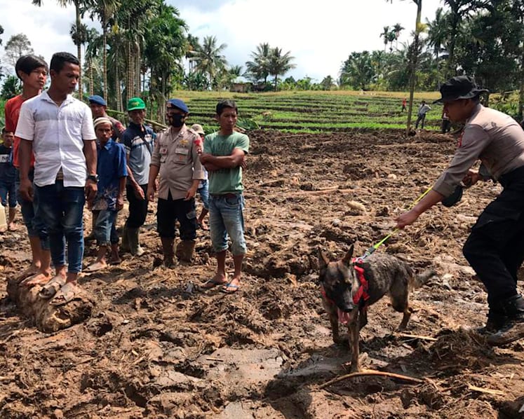 Death toll from Indonesia earthquake rises to 11 