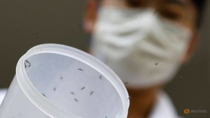Wolbachia mosquitoes to be released at five more sites in Singapore to combat dengue