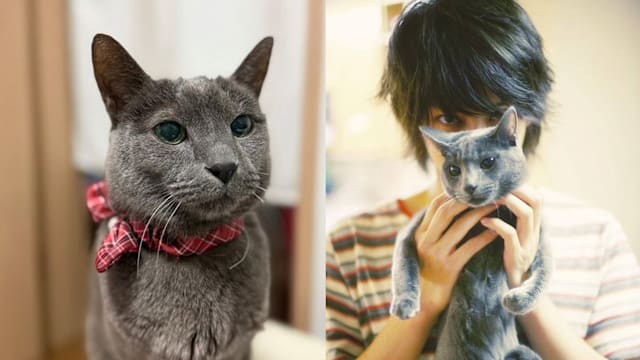 20岁爱猫离世，Super Junior希澈原不想公开：和粉丝一起养大的……