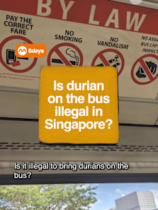 the answer might surprise you #8dayssg #8dayssgtrending #sg #durian #sgtiktok 