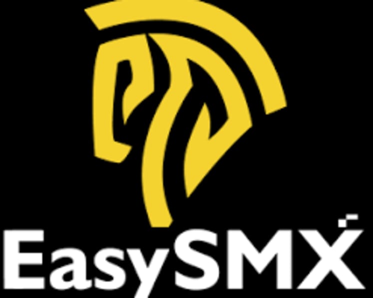 EasySMX Launches S10 Lite: The Top Budget Switch 2 Controller with Native Support & 9-Axis Precision