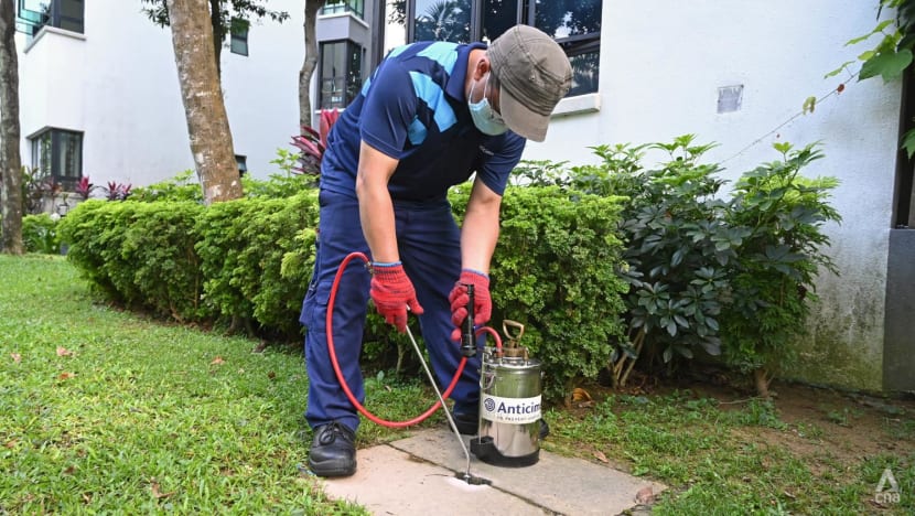 'Not rocket science': How one condominium is taking steps to fight dengue 'Not rocket science': How one condominium is taking steps to fight dengue