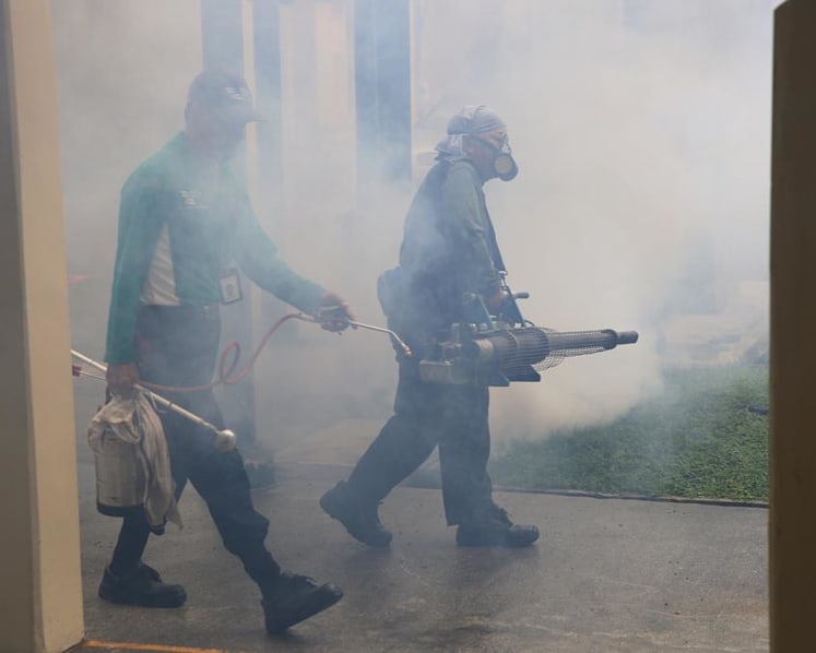 Dengue fight: When is too much fogging unsafe?