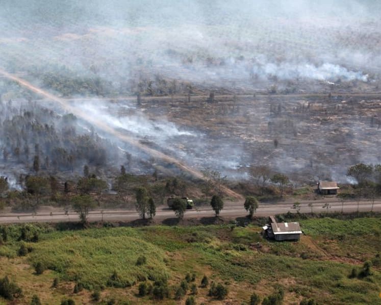 Less than half of respondents in Southeast Asia believe climate change poses ‘serious threat’ to region: Survey