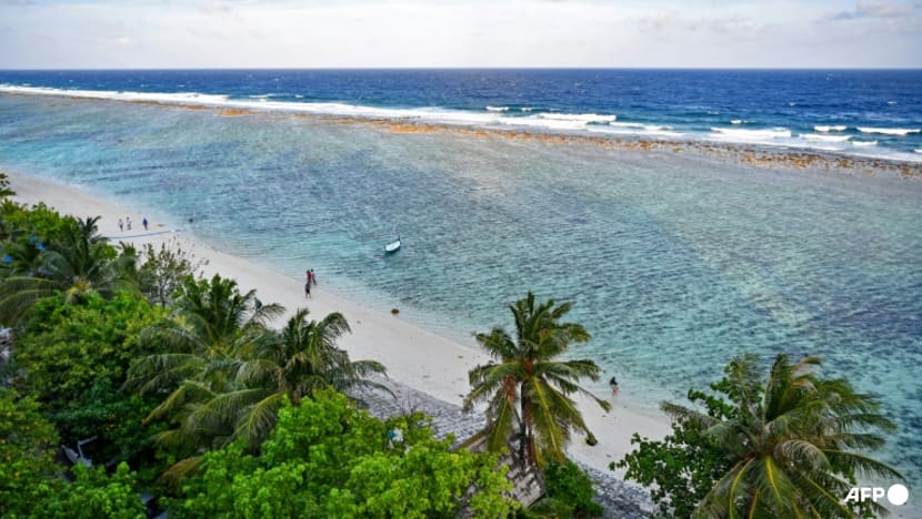 Smaller fish, bleached corals: Maldives hit by several threats from climate change Smaller fish, bleached corals: Maldives hit by several threats from climate change