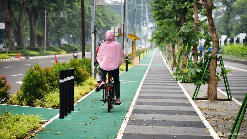 Bleak future for Jakarta cyclists as cars dominate the city's roads