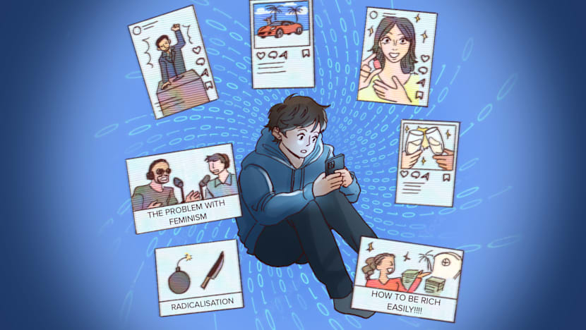 Down the rabbit hole: Social media is exploiting youthful angst for profit or politics