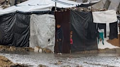 Related article image