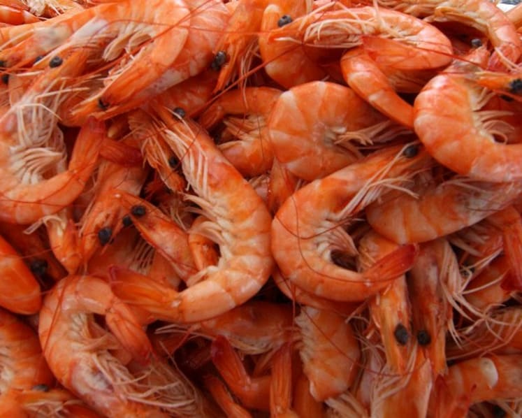 AVA gets to the heart of prawn mystery