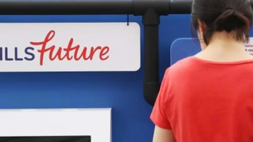 Portal SkillsFuture kembali beroperasi selepas alami gangguan jelang tamat tempoh kredit S$500 