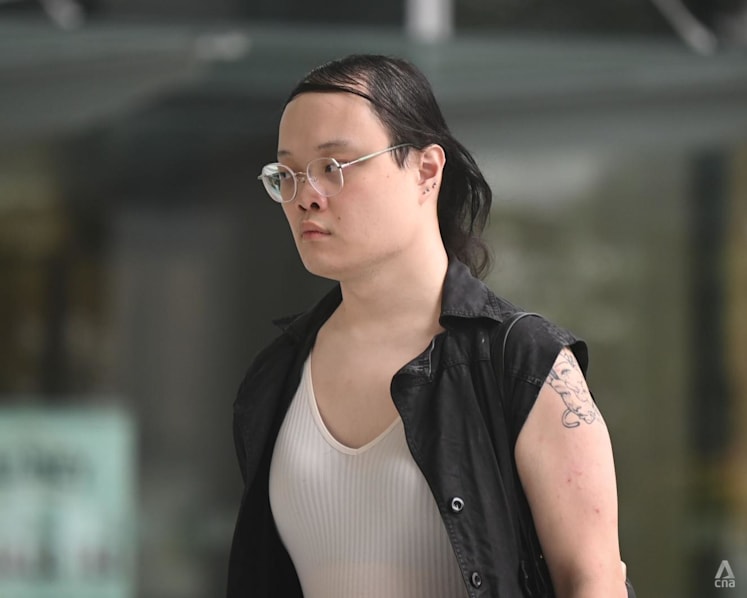Commuter pleads guilty to pushing security officer over bag screening after lawyers take up case