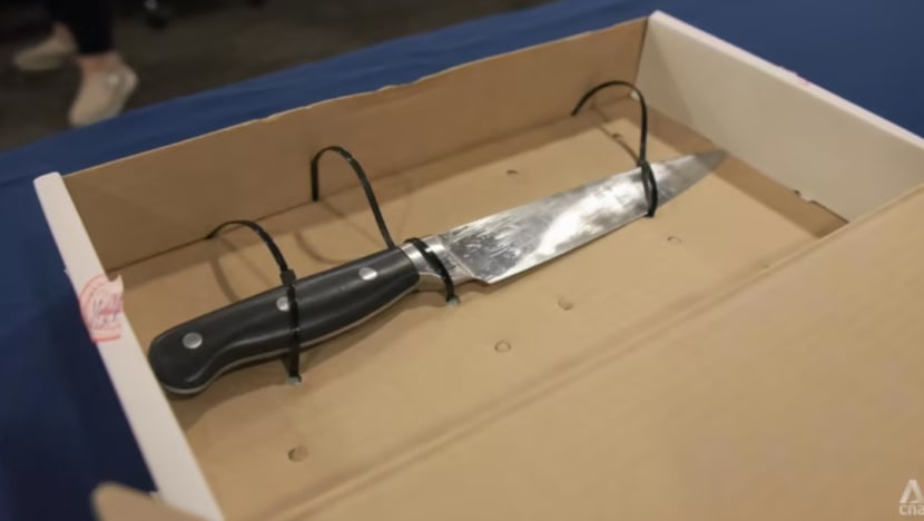 Pegawai polis didapati tidak tembak sewenang-wenangnya lelaki bersenjatakan pisau di Bendemeer : Koroner